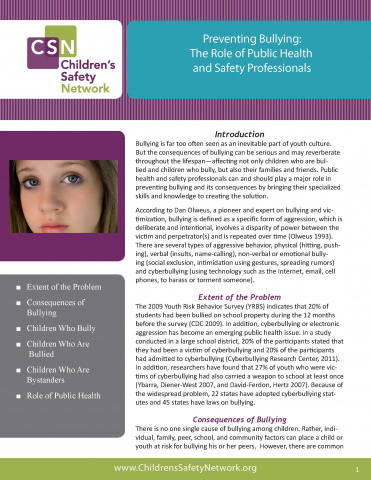 Preventing Bullying: The Role of Public Health and Safety Professionals