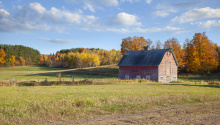 A red barn in a large. empty field full of short green and slightly orange grass. There are trees in the background with green, orange, yellow, and red leaves.